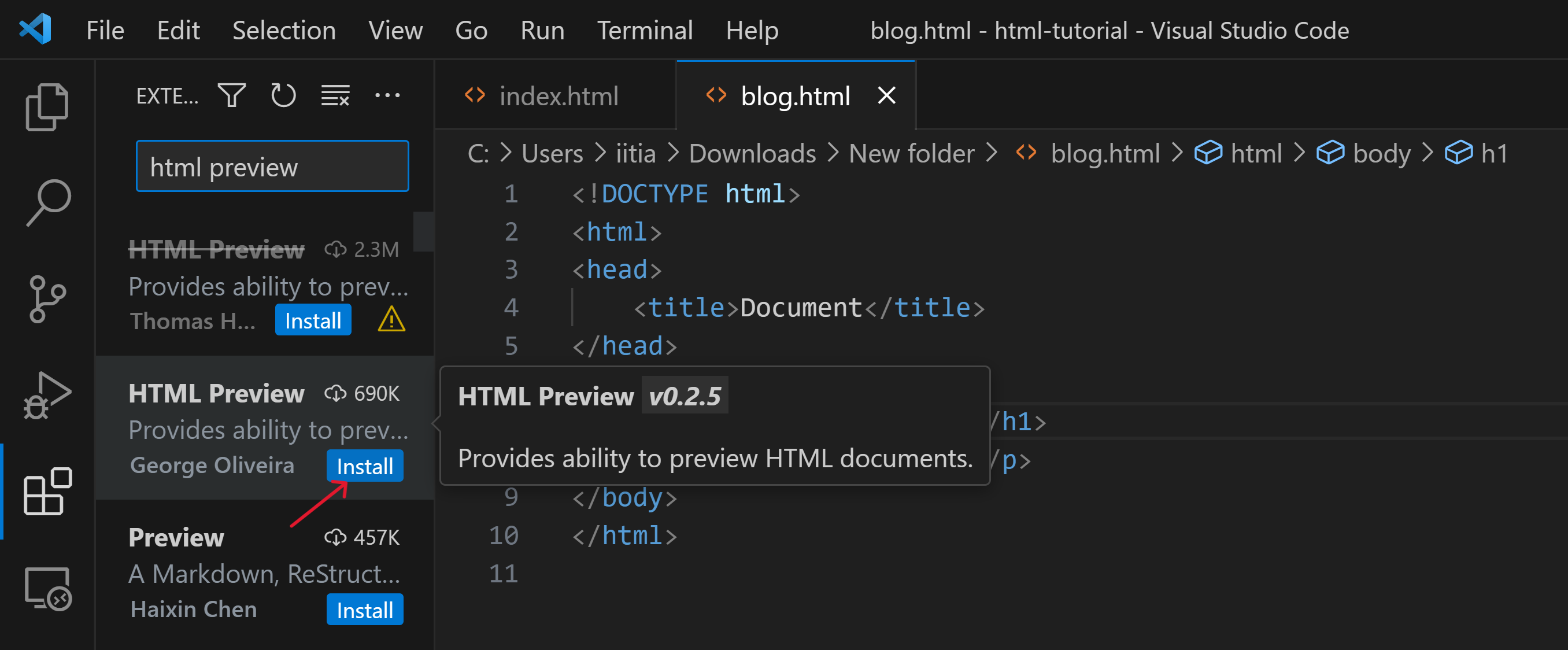 HTML Preview Extension